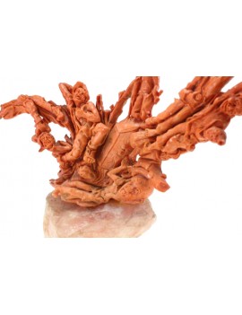 Neapolitan Sculpture