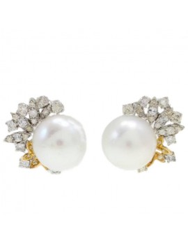 SnowFlakes Earrings