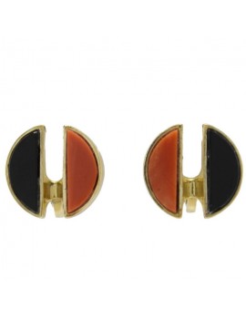 Two-Colored Earrings